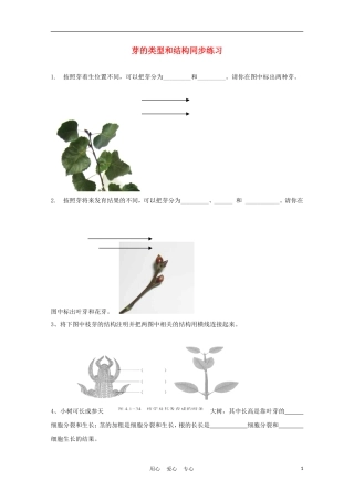 八年级生物上册《芽的类型和结构》同步练习1-济南版