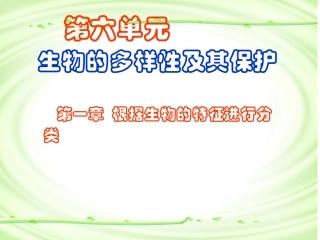 尝试对生物进行分类课件.赵国宝