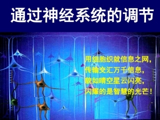 《通过神经系统的调节》课件1
