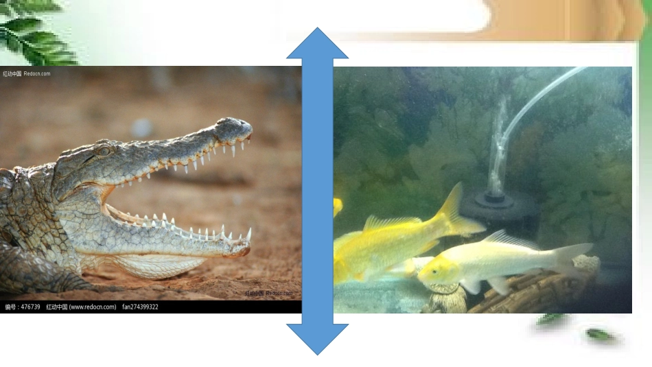 客观认识自我_第2页