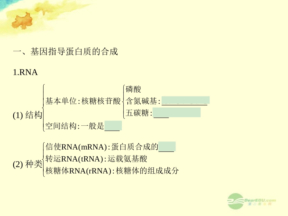【全优设计】2013高考生物一轮复习-第4章-基因的表达课件-新人教版必修2_第3页