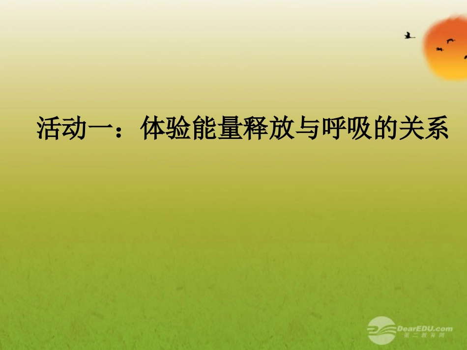 七年级生物上册-能量的释放和利用课件-人教新课标版_第2页