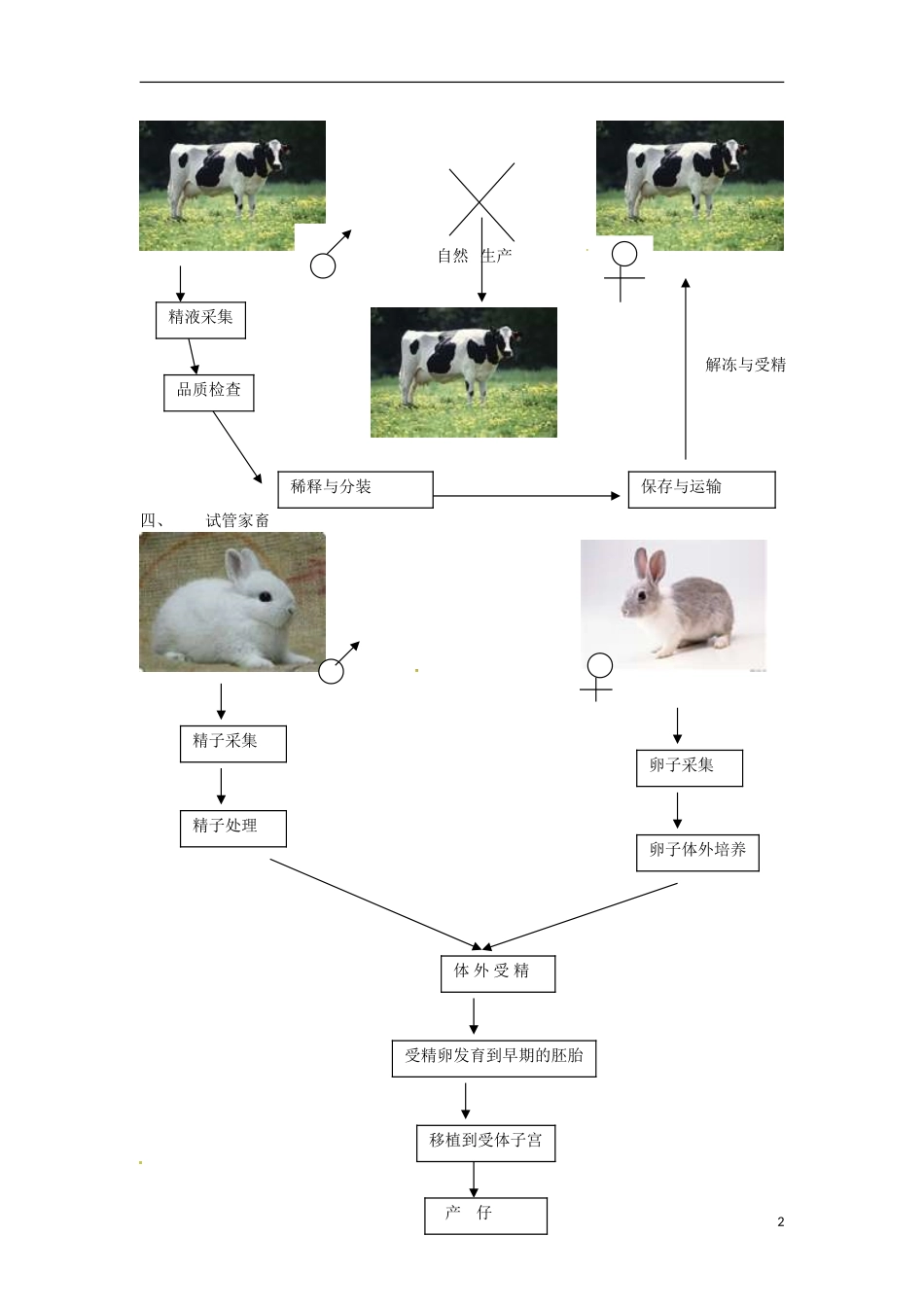 高中生物-2.1《农业生产中的繁殖控制技术》学案-新人教版选修2_第2页