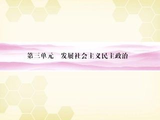 《金版新学案》2012高考政治总复习-第1讲-我国的人民代表大会制度课件-新人教版必修2