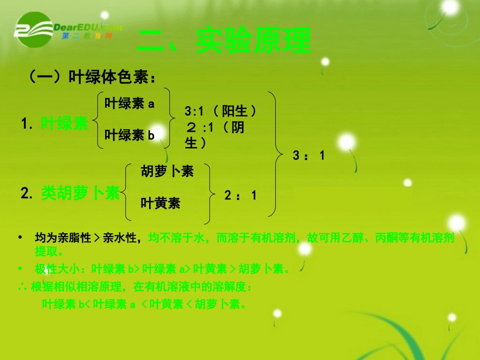 高中物理-第四章色素的提取和分离-苏教版必修1_第3页