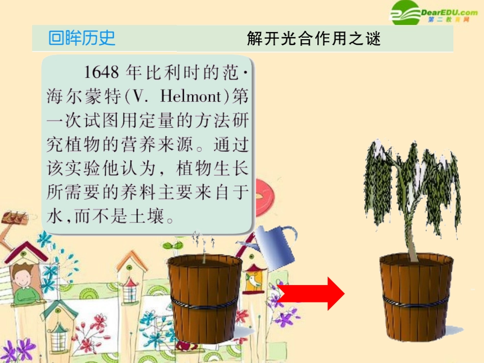 高中生物-4.2第二节光合作用课件-苏教版必修1_第3页