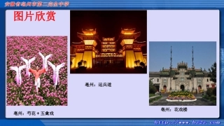 5.1从单位圆看正弦函数的性质