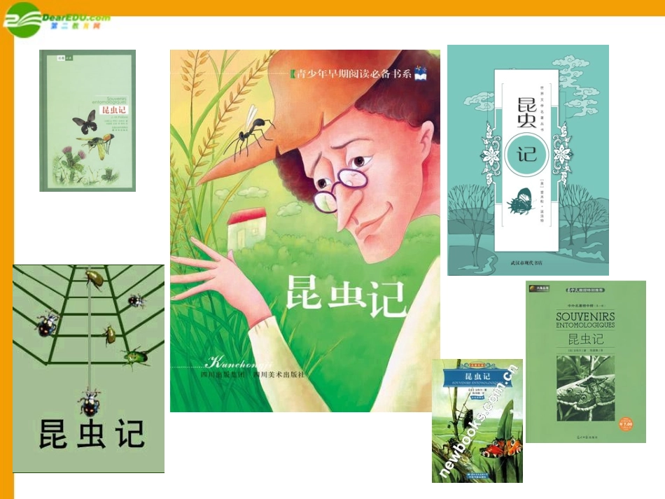 七年级语文下册-第33课《昆虫记》译本前言课件-沪教版_第2页