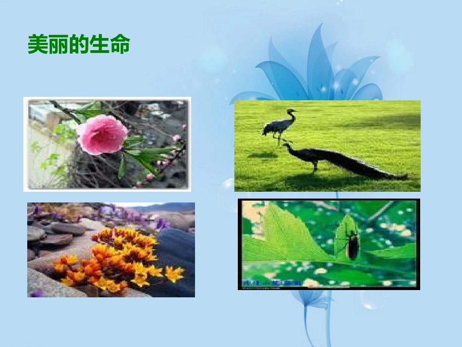 安徽省阜南县三塔中学七年级语文上册-短文两篇课件-新人教版_第1页