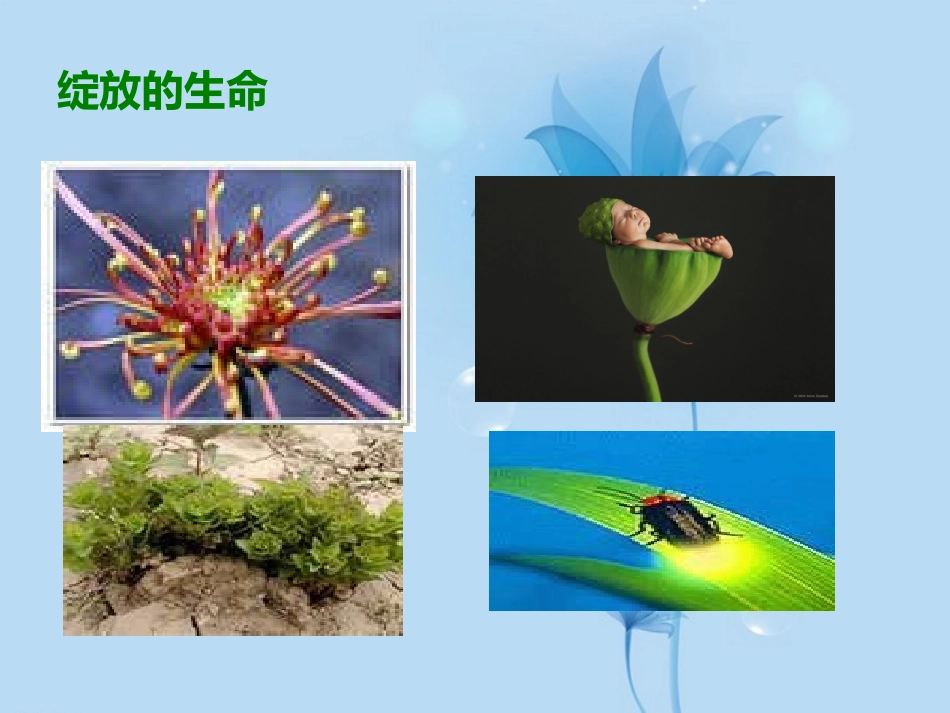 安徽省阜南县三塔中学七年级语文上册-短文两篇课件-新人教版_第2页