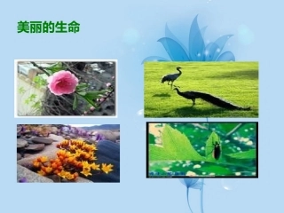 安徽省阜南县三塔中学七年级语文上册-短文两篇课件-新人教版