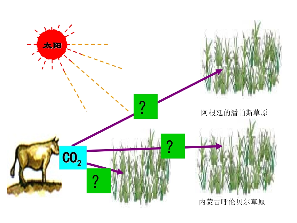 生态系统中的物质循环-(2)_第2页