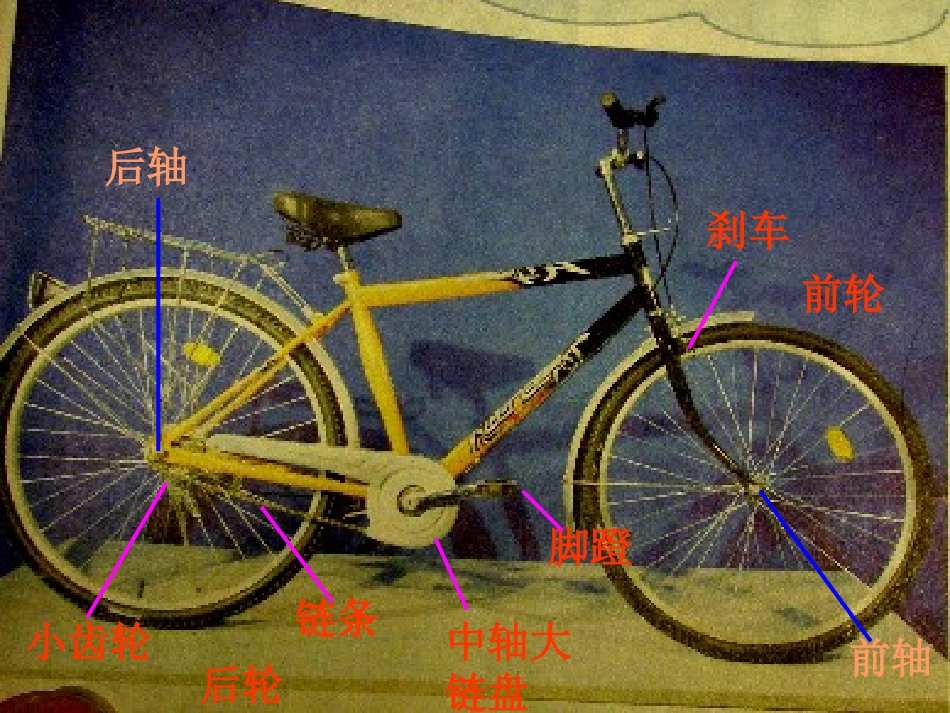 教科版小学科学五年级上册第四单元《运动与设计》课件_第3页