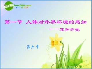 七年级生物下册-61-人体对外界环境的感知课件人教版