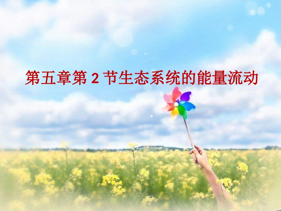 科学·技术·社会-恢复生态学及其应用_第1页