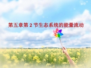 科学·技术·社会-恢复生态学及其应用