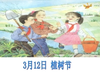 1、走-我们去植树课件(第一课时)