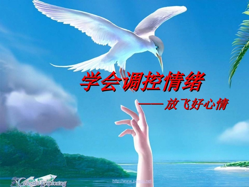 小学生《学会调控情绪放飞好心情》心理健康教育主题班会PPT课件_第1页
