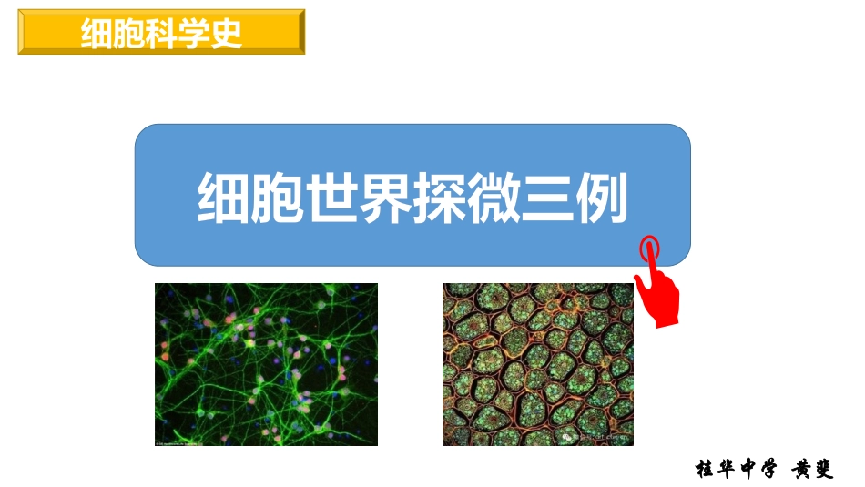 科学家的故事-细胞世界探微三例_第1页