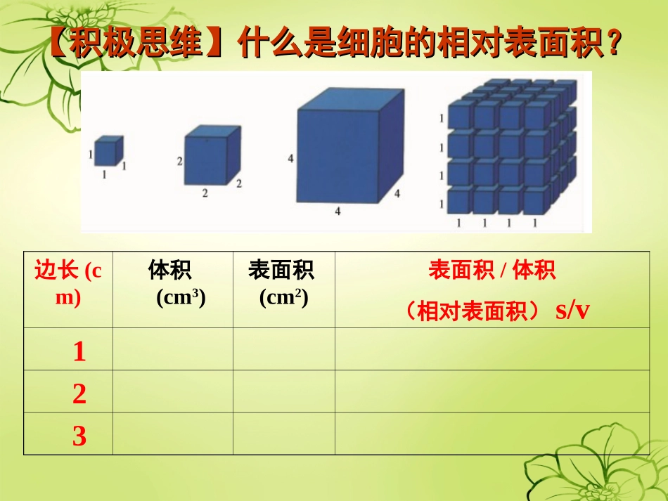 第一节细胞的增殖_第3页