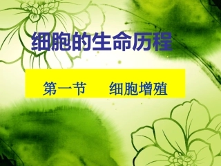 第一节细胞的增殖