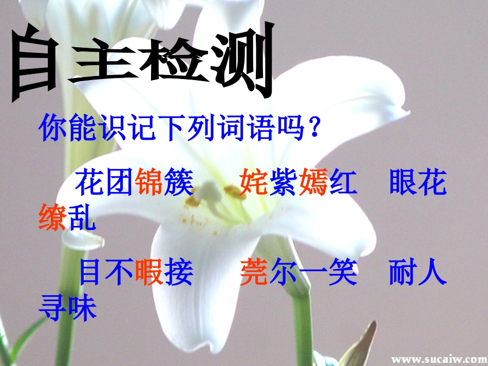 花是种给别人看的课件_第3页