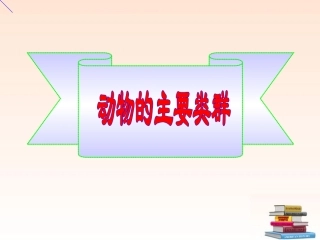 《1-动物的主要类群》课件