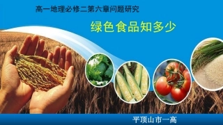 问题研究-绿色食品知多少