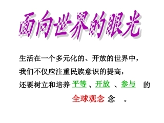 《面向世界的眼光》课件
