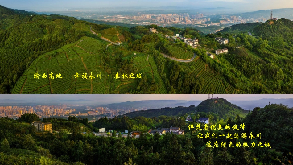 3.做个养绿护绿小能手_第3页