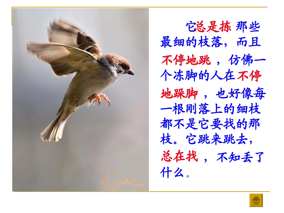 《隔窗看雀》课件_第3页