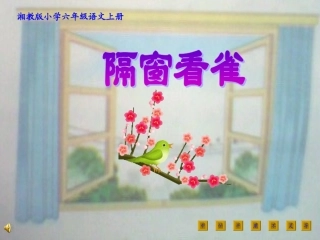 《隔窗看雀》课件
