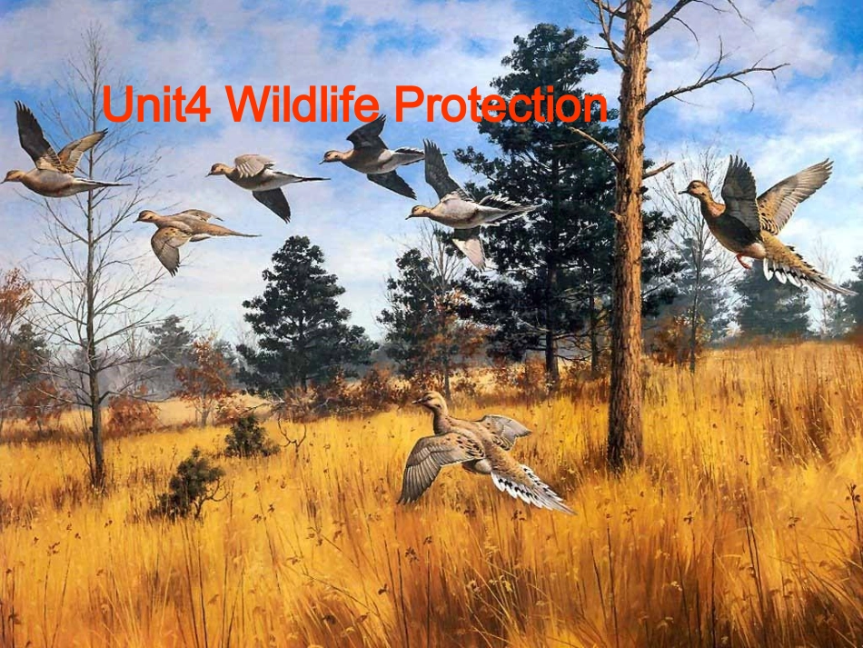 高中英语-4.3《-Unit4-Wildlife-Protection》(1)课件-新人教版必修2_第3页