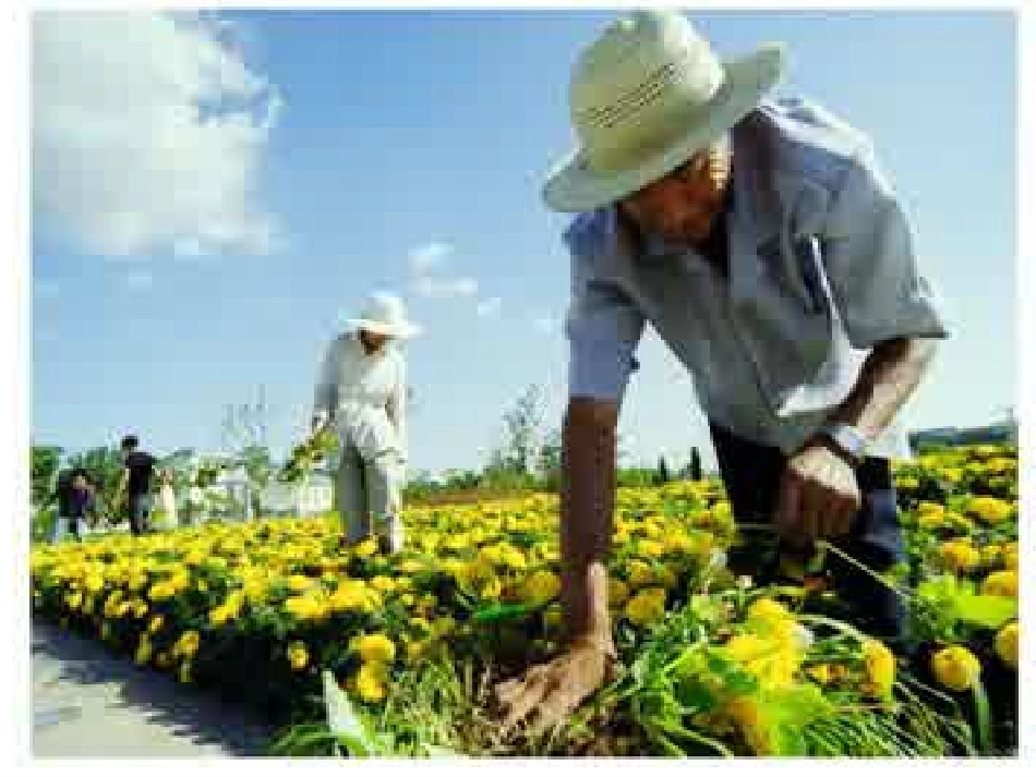 9让我说声谢谢你_第2页