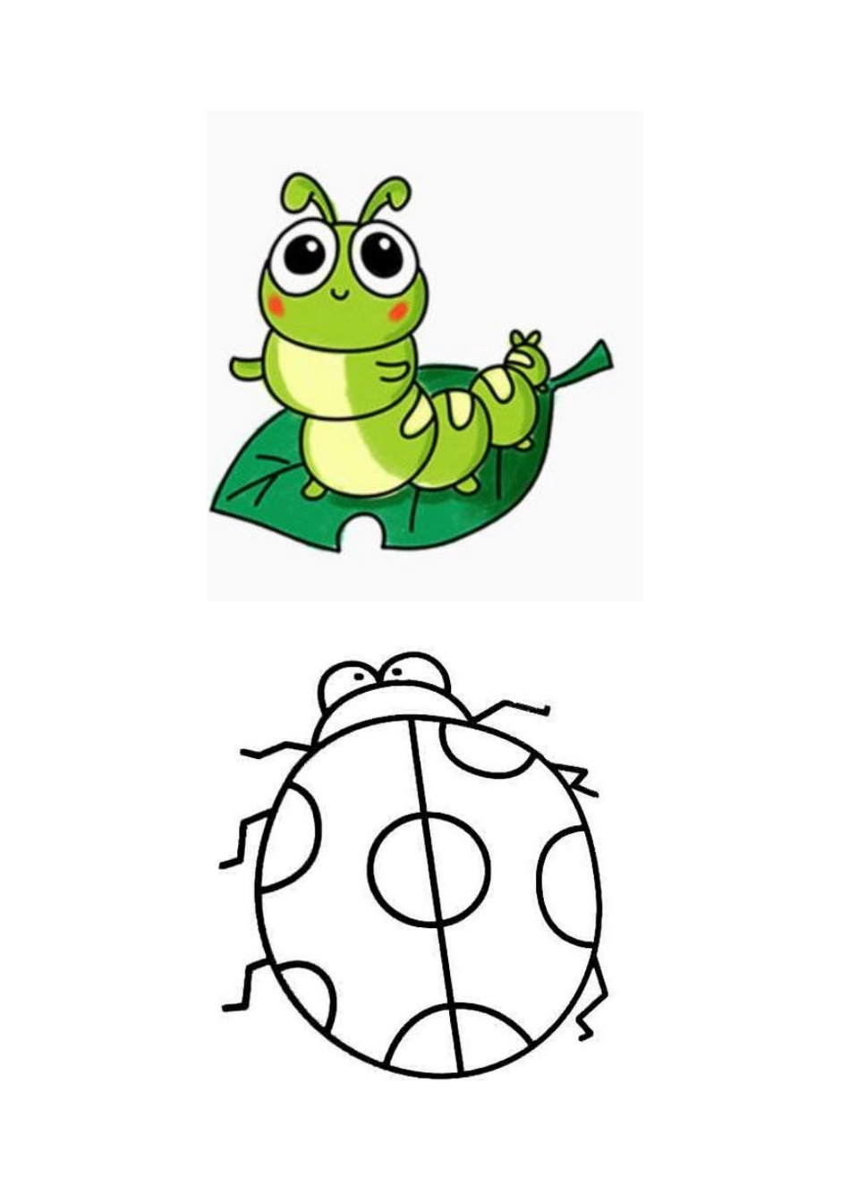 第14课-虫虫虫(一)_第2页