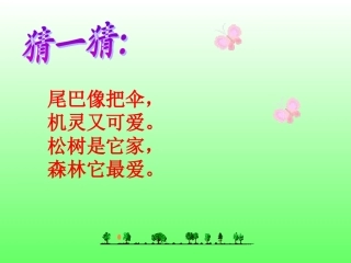 《松鼠和松果》课件