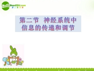 高中生物-5.2《神经系统中信息的传递和调节》课件(1)-沪科版第二册
