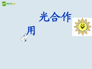 高一生物-光合作用教学课件-苏教版必修1