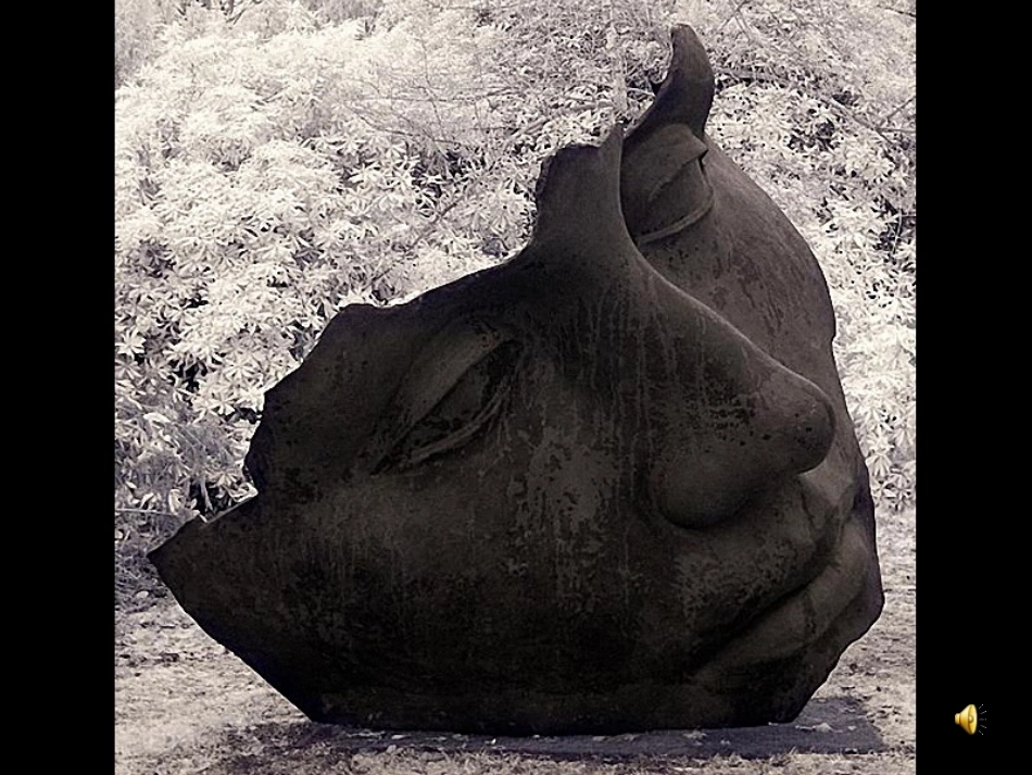 16.城市雕塑_第2页