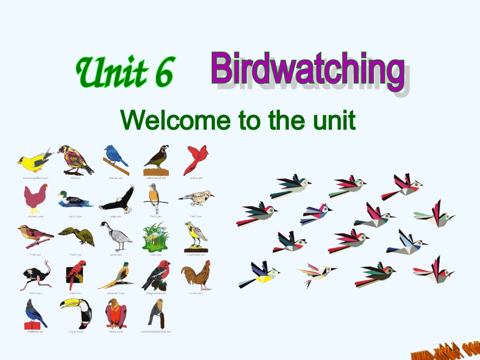 8A-Unit-6-Birdwatchers-Welcome-to-the-unit_第1页
