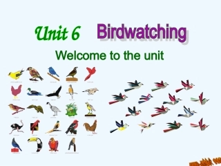 8A-Unit-6-Birdwatchers-Welcome-to-the-unit