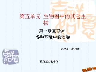 2013第五单元-生物圈中的其它生物复习