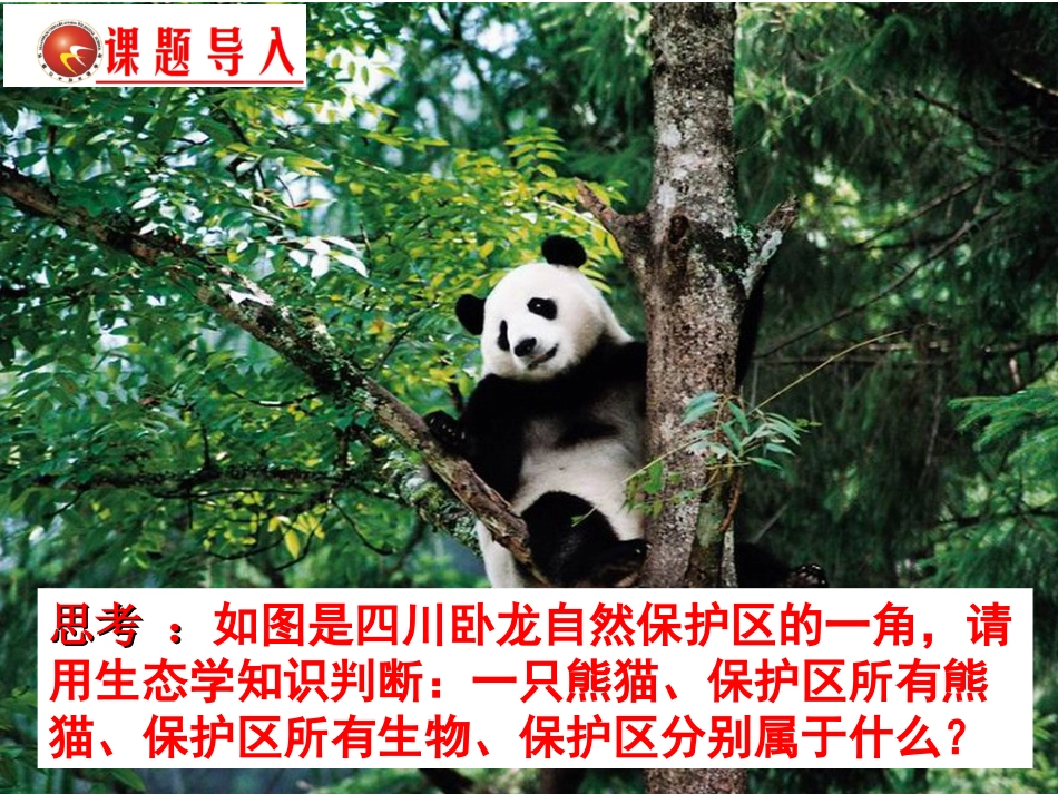 一生态系统的结构-(2)_第1页