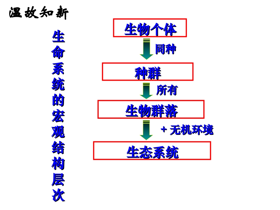 一生态系统的结构-(2)_第2页