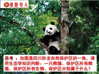 一生态系统的结构-(2)