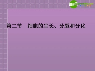 高中生物-6.2《细胞的分裂和分化》课件-新人教版必修1