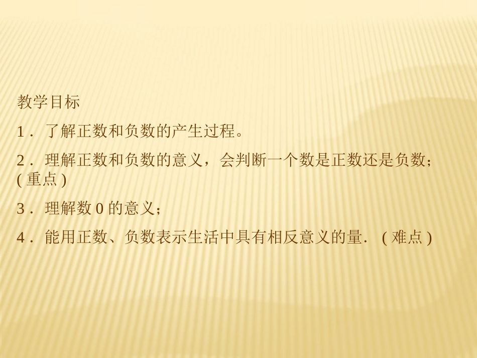1.1正数与负数.1正数与负数_第2页