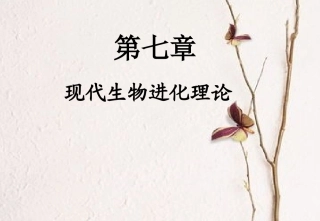 现代达尔文主义-(5)