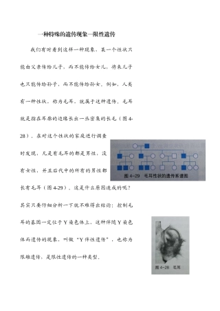 二人的伴性遗传