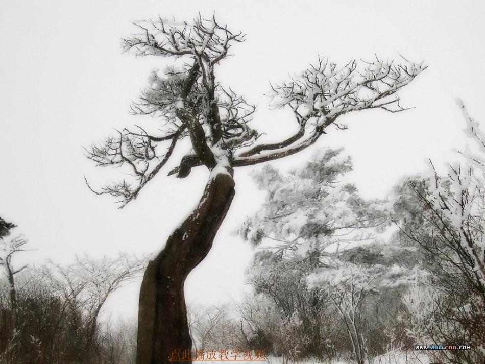 湖心亭看雪ppt_第3页